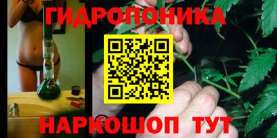 бошки Славянск-на-Кубани