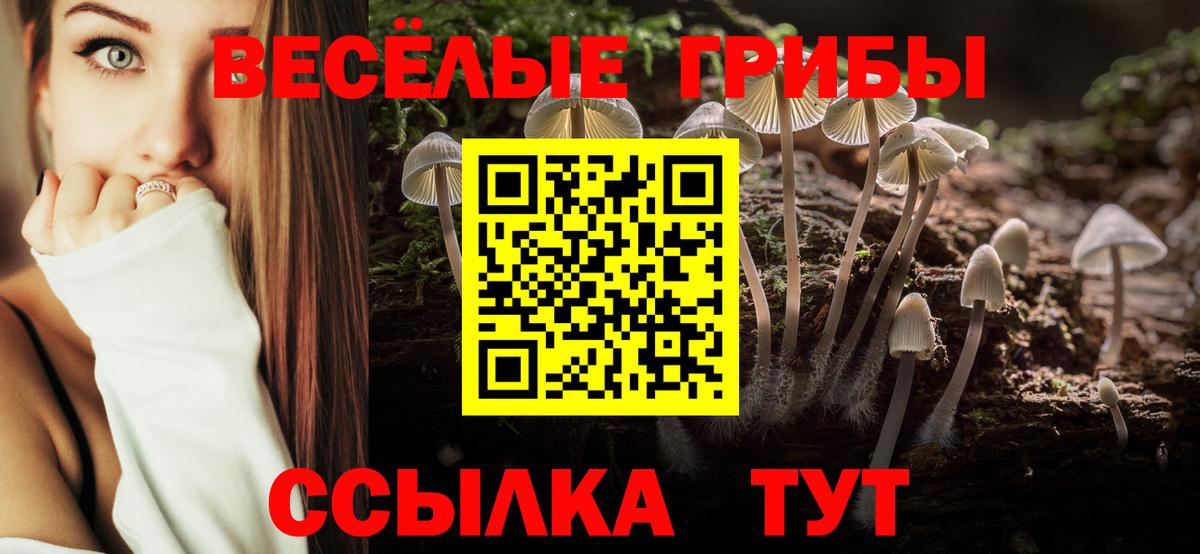 Галлюциногенные грибы мицелий  Псилоцибиновые грибы прущие грибы  Вход с VPN  Нижнеудинск 